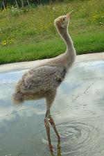 Green White Yellow on 28th June 2013 Green White Yellow on 28th June 2013